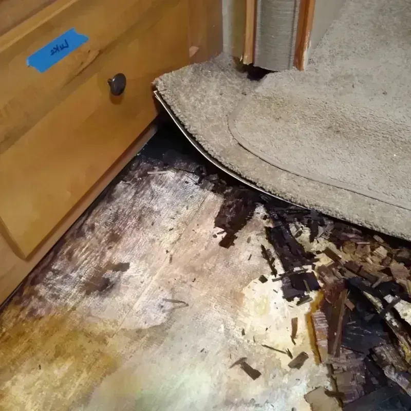 Wood Floor Water Damage in Saline, MI